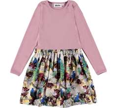 Credence Dresses